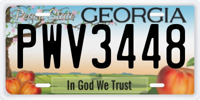 GA license plate PWV3448
