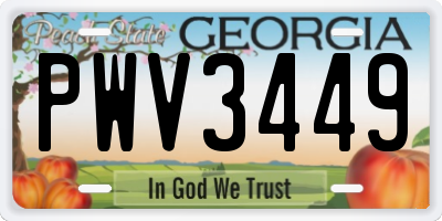 GA license plate PWV3449