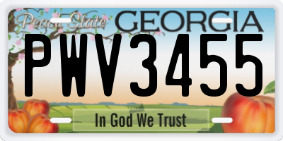 GA license plate PWV3455