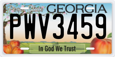 GA license plate PWV3459