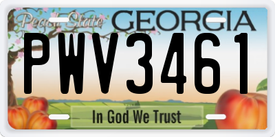 GA license plate PWV3461