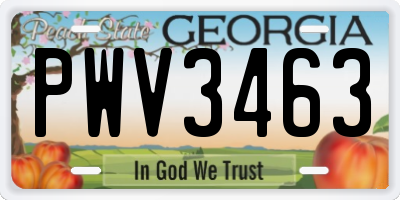GA license plate PWV3463