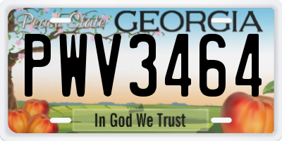 GA license plate PWV3464