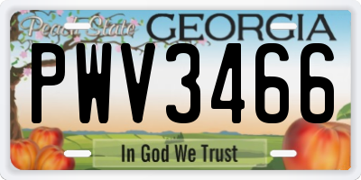 GA license plate PWV3466
