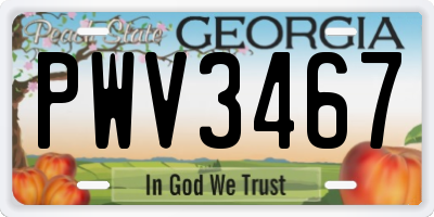 GA license plate PWV3467
