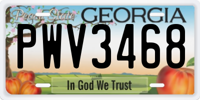 GA license plate PWV3468