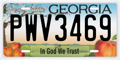 GA license plate PWV3469
