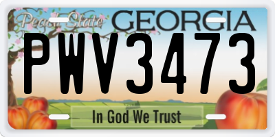 GA license plate PWV3473