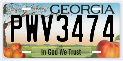 GA license plate PWV3474