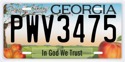 GA license plate PWV3475