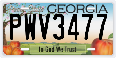 GA license plate PWV3477