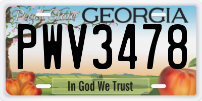 GA license plate PWV3478