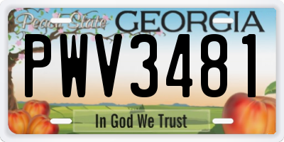 GA license plate PWV3481