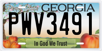 GA license plate PWV3491