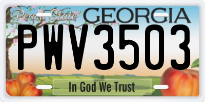 GA license plate PWV3503