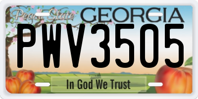 GA license plate PWV3505
