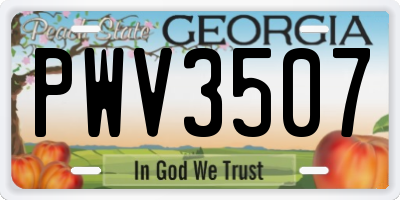 GA license plate PWV3507