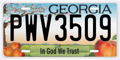 GA license plate PWV3509