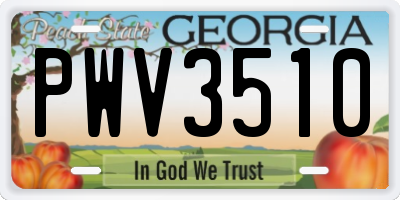 GA license plate PWV3510