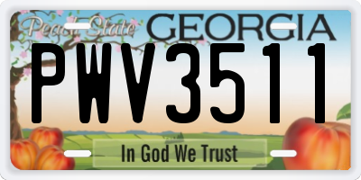 GA license plate PWV3511