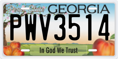GA license plate PWV3514