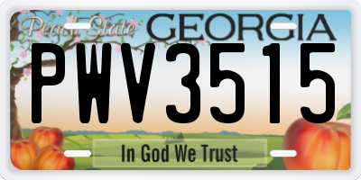 GA license plate PWV3515