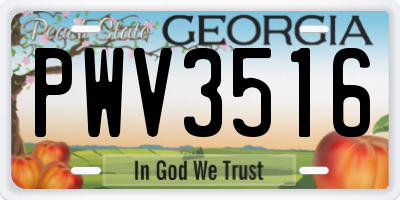 GA license plate PWV3516