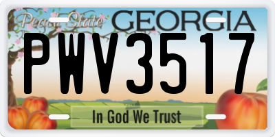 GA license plate PWV3517