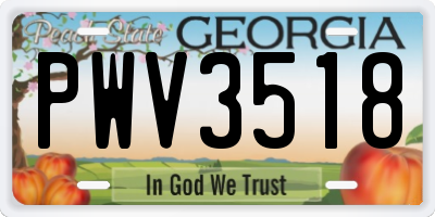 GA license plate PWV3518