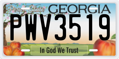 GA license plate PWV3519