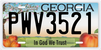 GA license plate PWV3521