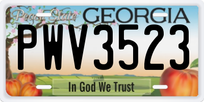 GA license plate PWV3523