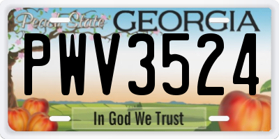 GA license plate PWV3524