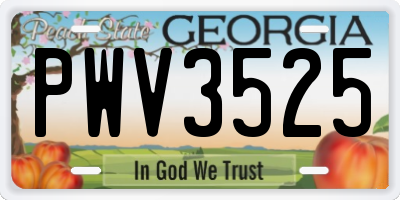 GA license plate PWV3525