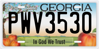 GA license plate PWV3530