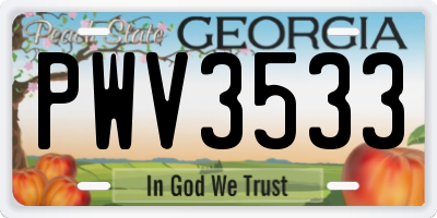 GA license plate PWV3533