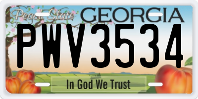GA license plate PWV3534