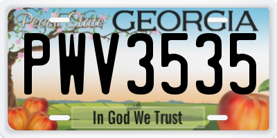 GA license plate PWV3535