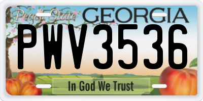 GA license plate PWV3536