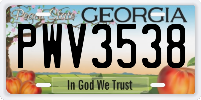 GA license plate PWV3538