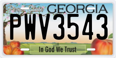 GA license plate PWV3543