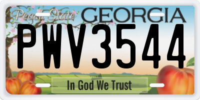 GA license plate PWV3544