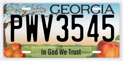 GA license plate PWV3545