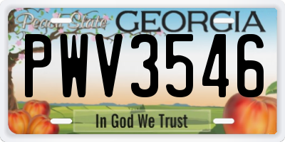 GA license plate PWV3546
