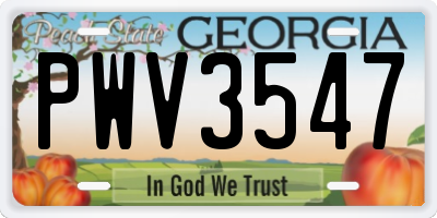 GA license plate PWV3547