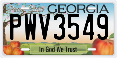 GA license plate PWV3549