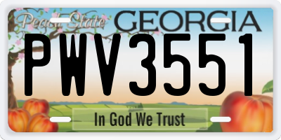 GA license plate PWV3551