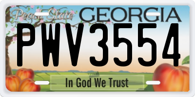 GA license plate PWV3554