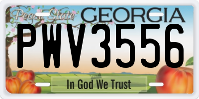 GA license plate PWV3556