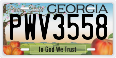 GA license plate PWV3558